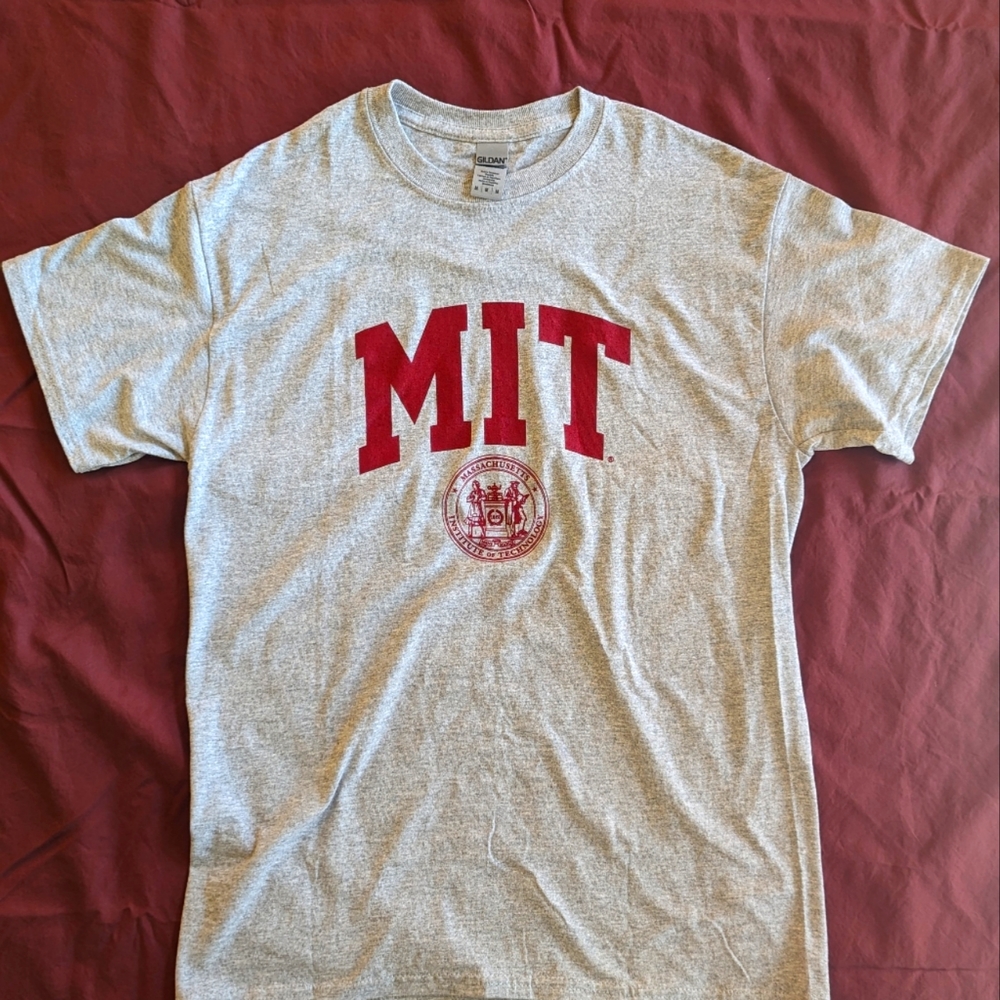 MIT t-shirt Light Gray M
